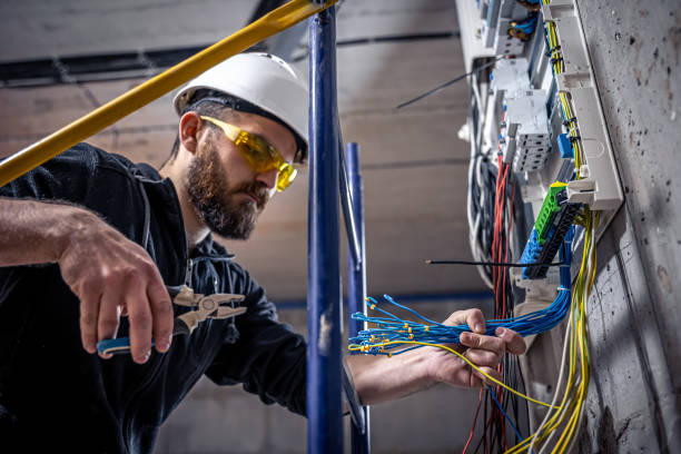Best Home Electrical Repair  in Potterville, MI