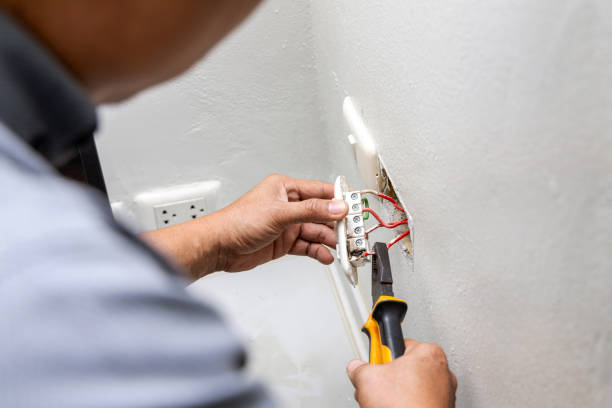 Best Local Electrician Companies  in Potterville, MI