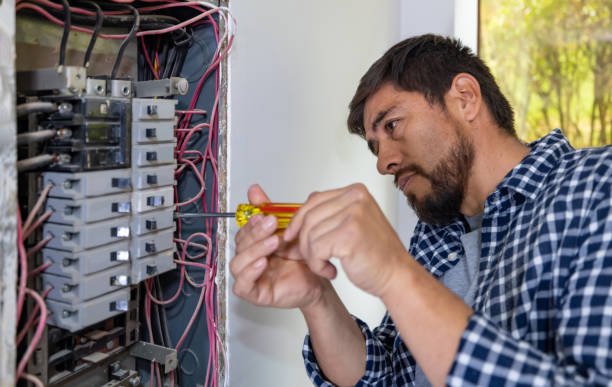 Best Licensed Electrician  in Potterville, MI